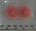 Reconstructed 3-D-printed nipples